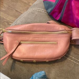 Hammitt Pink Leather Crossbody Bag